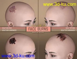 3D打印模型HD Face Burns AddOn for Genesis 8 Females的图片
