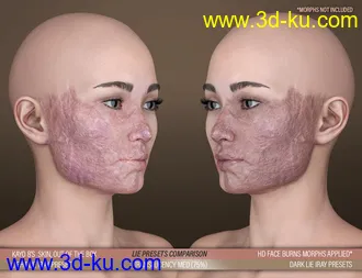 3D打印模型HD Face Burns AddOn for Genesis 8 Females的图片