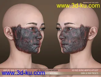 3D打印模型HD Face Burns AddOn for Genesis 8 Females的图片