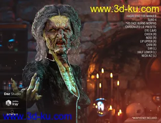 HD Face Burns AddOn for Genesis 8 Females模型的图片19