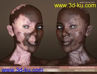 3D打印模型HD Face Burns AddOn for Genesis 8 Females的图片