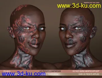 3D打印模型HD Face Burns AddOn for Genesis 8 Females的图片