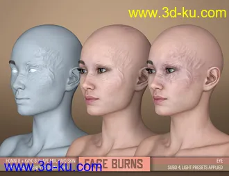 3D打印模型HD Face Burns for Genesis 8 Females的图片