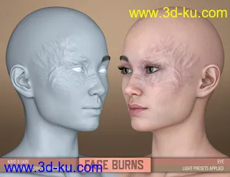 3D打印模型HD Face Burns for Genesis 8 Females的图片