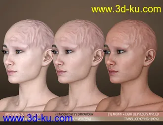 3D打印模型HD Face Burns for Genesis 8 Females的图片