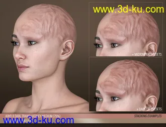 HD Face Burns for Genesis 8 Females模型的图片19