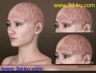 3D打印模型HD Face Burns for Genesis 8 Females的图片