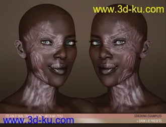3D打印模型HD Face Burns for Genesis 8 Females的图片