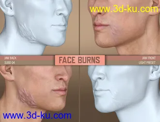 HD Face Burns for Genesis 8 Males模型的图片8