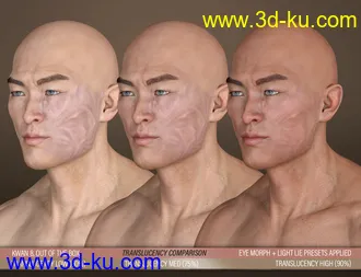 HD Face Burns for Genesis 8 Males模型的图片13