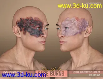 HD Face Burns Texture Add-On for Genesis 8 Males模型的图片3