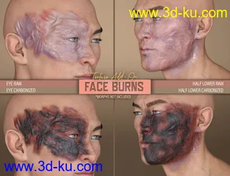 HD Face Burns Texture Add-On for Genesis 8 Males模型的图片6