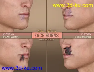 3D打印模型HD Face Burns Texture Add-On for Genesis 8 Males的图片