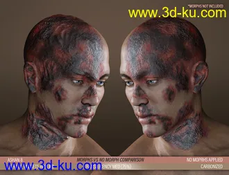 3D打印模型HD Face Burns Texture Add-On for Genesis 8 Males的图片