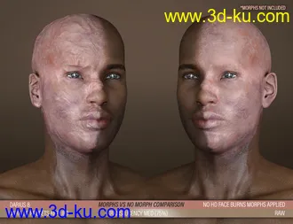 3D打印模型HD Face Burns Texture Add-On for Genesis 8 Males的图片
