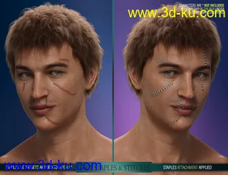 3D打印模型HD Face Staples and Stitches for Genesis 8 Males的图片