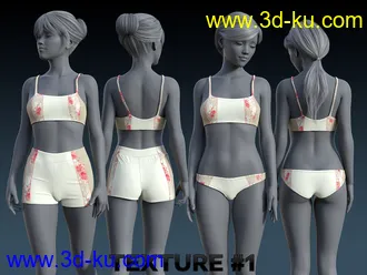 3D打印模型Hiatus Outfit for Genesis 8 Female(s)的图片