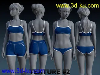 3D打印模型Hiatus Outfit for Genesis 8 Female(s)的图片