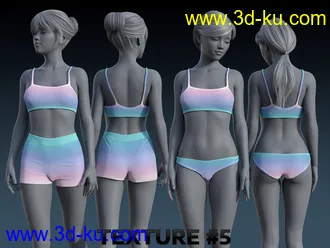 3D打印模型Hiatus Outfit for Genesis 8 Female(s)的图片