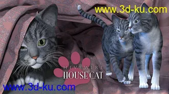 3D打印模型HiveWire House Cat的图片