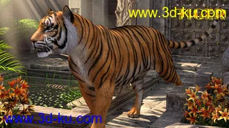 3D打印模型HiveWire Tiger的图片