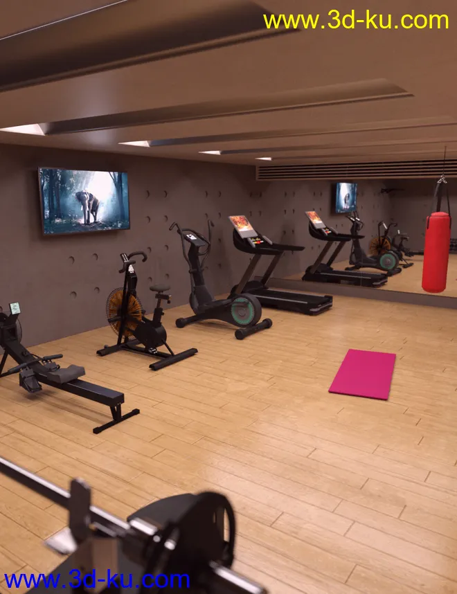 Home Gym模型的图片1