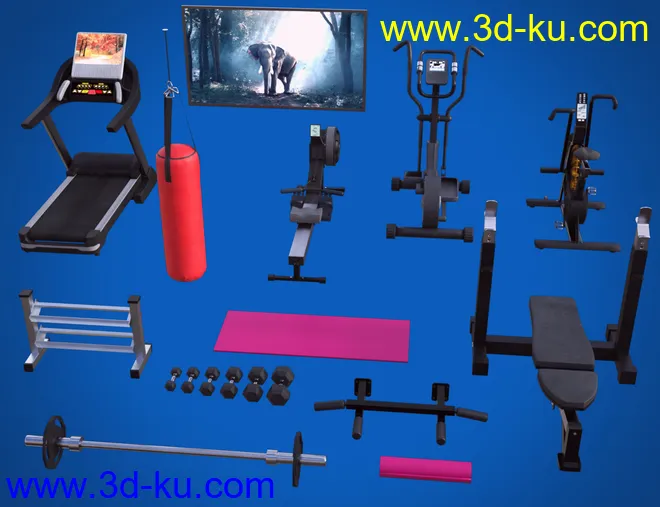 Home Gym模型的图片8