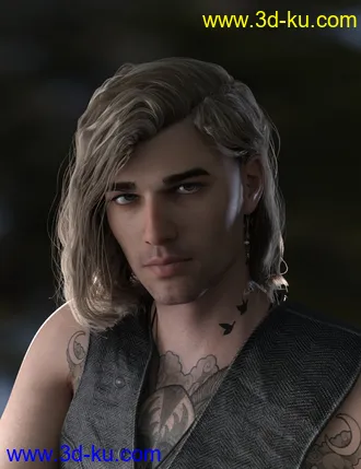 3D打印模型Hyansel King Hair for Genesis 8的图片