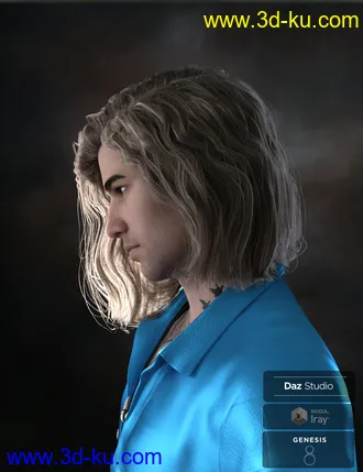 3D打印模型Hyansel King Hair for Genesis 8的图片