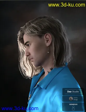 3D打印模型Hyansel King Hair for Genesis 8的图片