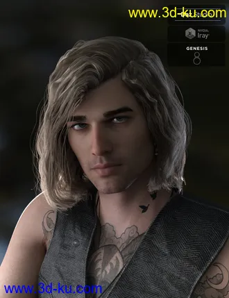 3D打印模型Hyansel King Hair for Genesis 8的图片