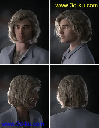 3D打印模型Hyansel King Hair for Genesis 8的图片