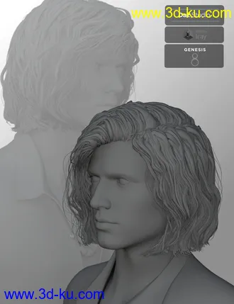 3D打印模型Hyansel King Hair for Genesis 8的图片