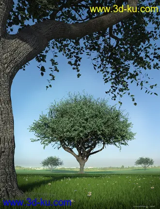 3D打印模型Hybrid Trees - Pruned的图片