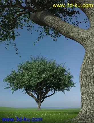 3D打印模型Hybrid Trees - Pruned的图片
