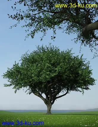 3D打印模型Hybrid Trees - Pruned的图片