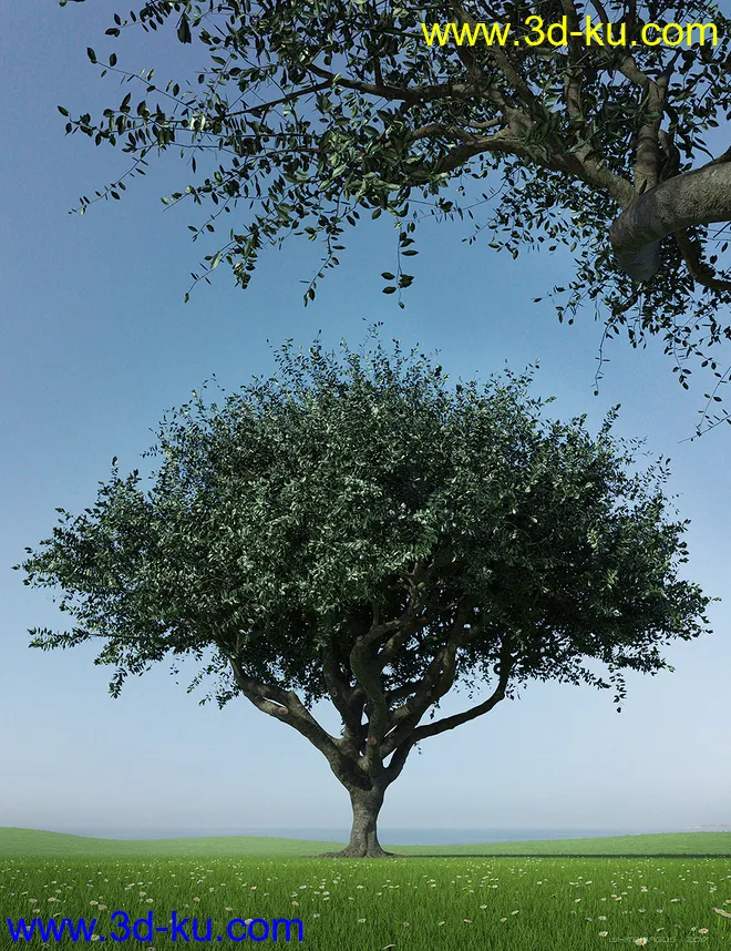 Hybrid Trees - Pruned模型的图片4