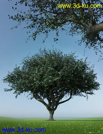 3D打印模型Hybrid Trees - Pruned的图片
