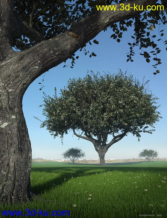 Hybrid Trees - Pruned模型的图片6