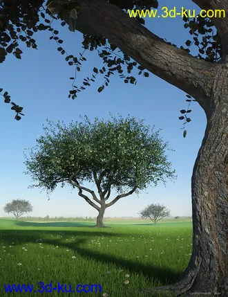 3D打印模型Hybrid Trees - Pruned的图片