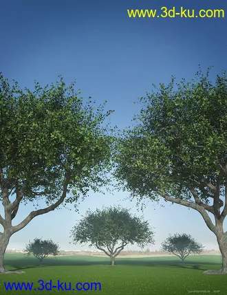 3D打印模型Hybrid Trees - Pruned的图片