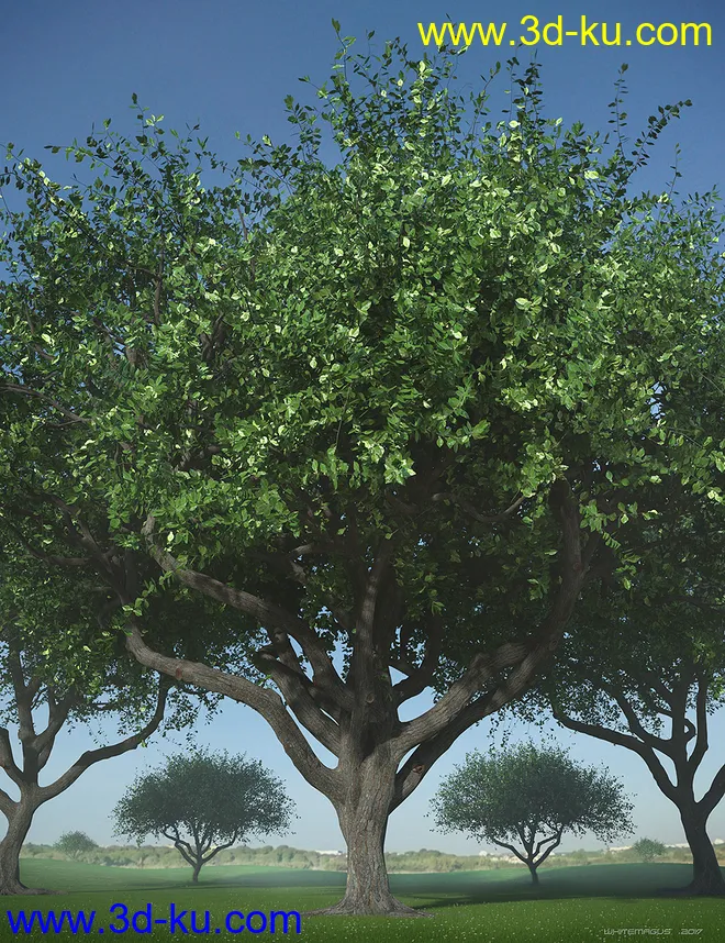Hybrid Trees - Pruned模型的图片9