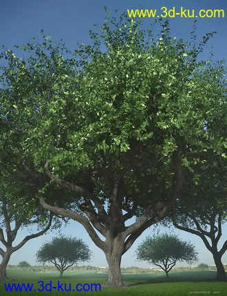 3D打印模型Hybrid Trees - Pruned的图片