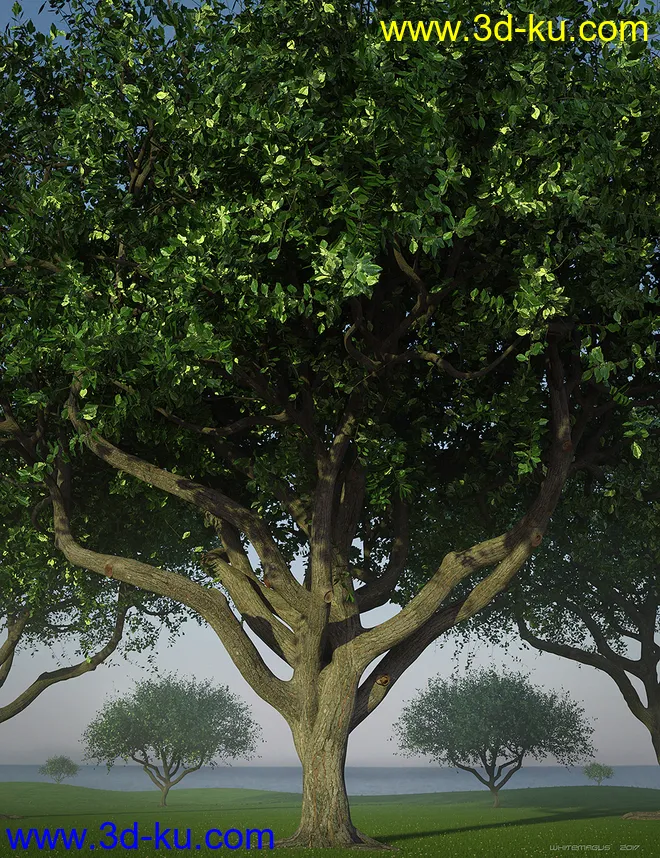 Hybrid Trees - Pruned模型的图片10