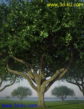 3D打印模型Hybrid Trees - Pruned的图片