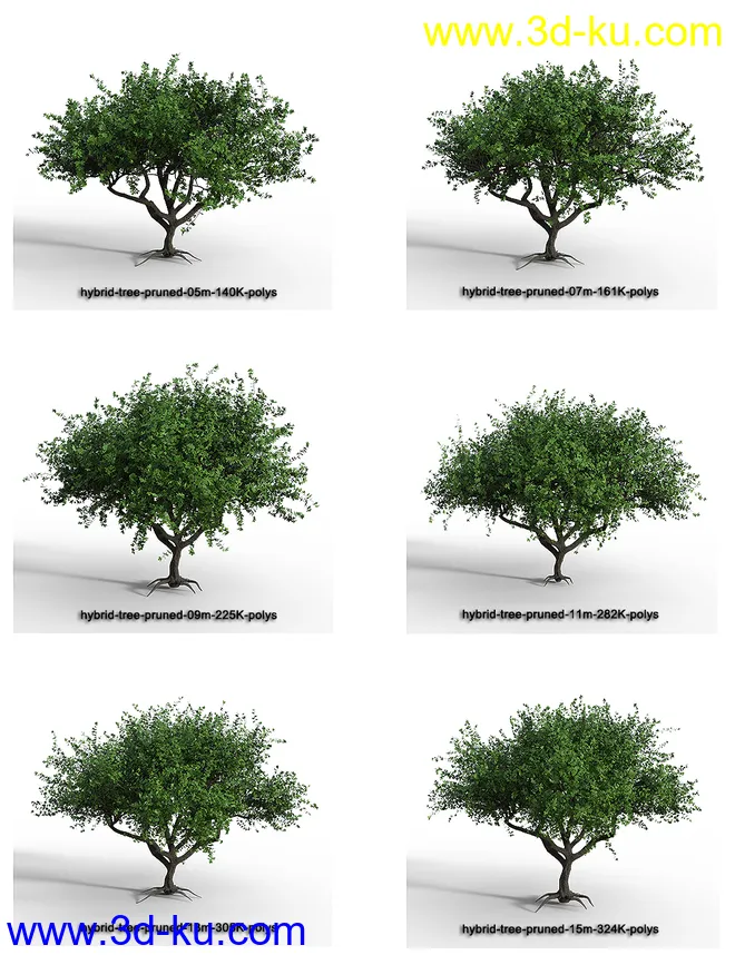 Hybrid Trees - Pruned模型的图片11