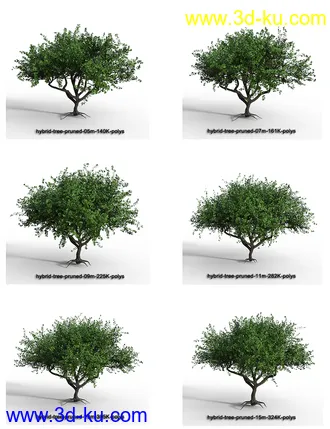 3D打印模型Hybrid Trees - Pruned的图片