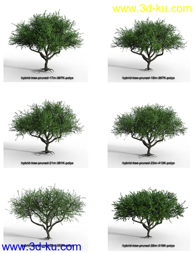 Hybrid Trees - Pruned模型的图片12
