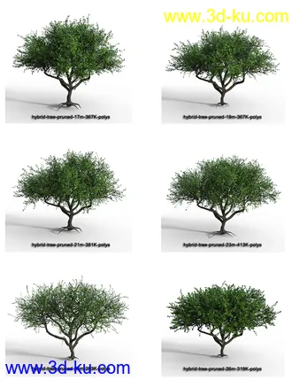 3D打印模型Hybrid Trees - Pruned的图片
