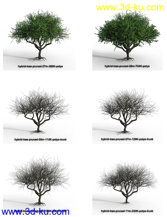 Hybrid Trees - Pruned模型的图片13